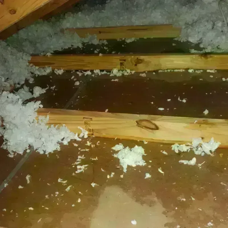 Attic Water Damage in New Carlisle, OH