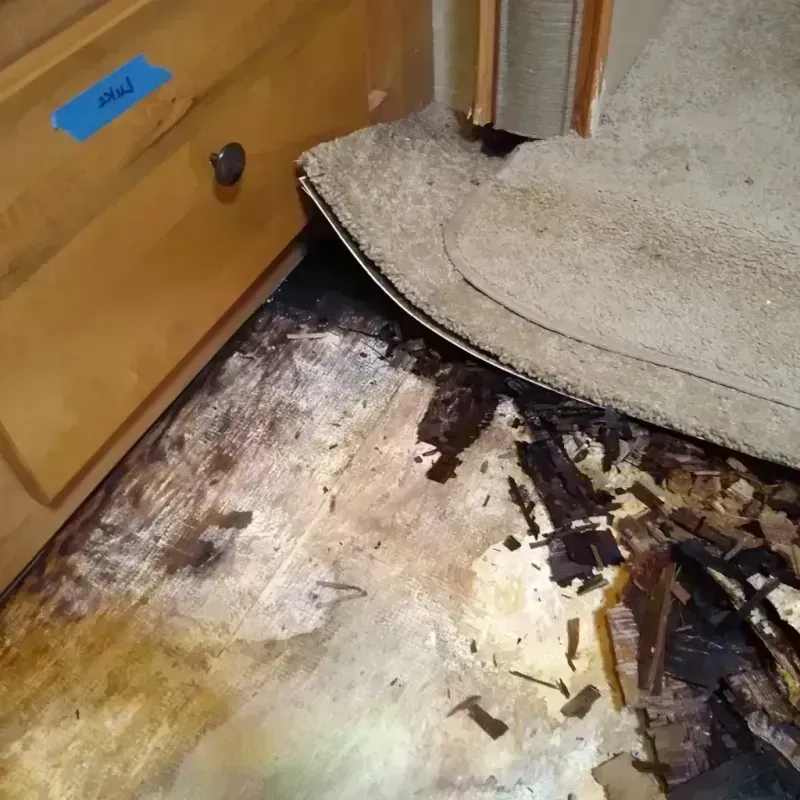 Wood Floor Water Damage in New Carlisle, OH